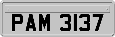 PAM3137