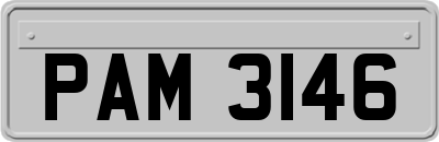 PAM3146