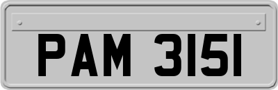 PAM3151