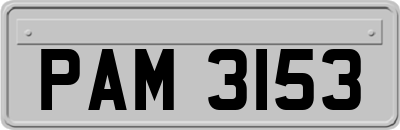PAM3153