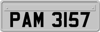 PAM3157