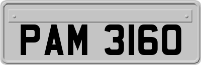 PAM3160
