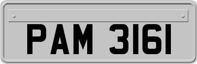 PAM3161
