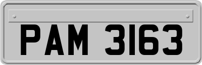 PAM3163