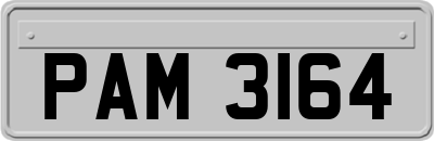 PAM3164