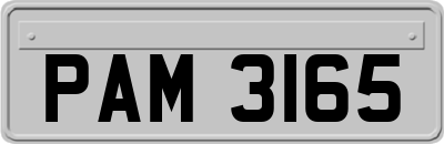 PAM3165
