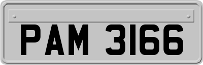 PAM3166