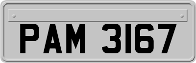 PAM3167