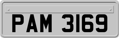 PAM3169