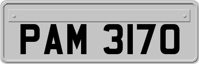 PAM3170