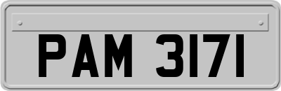 PAM3171