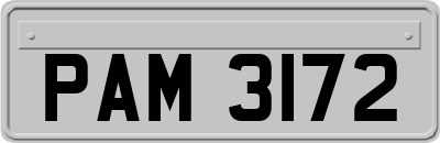 PAM3172