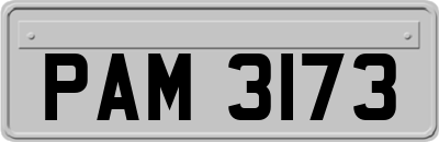 PAM3173