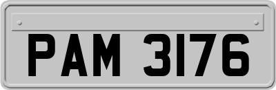PAM3176