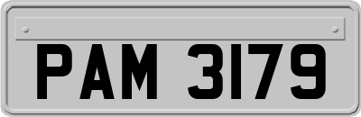 PAM3179