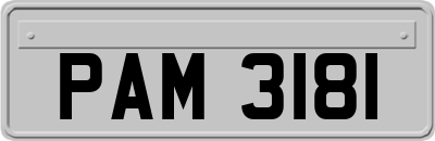 PAM3181