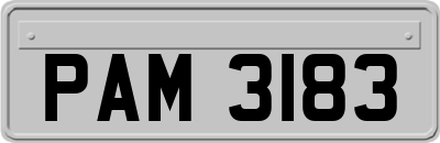 PAM3183