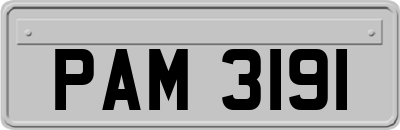 PAM3191