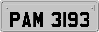 PAM3193