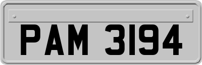 PAM3194