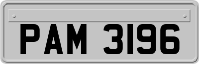 PAM3196