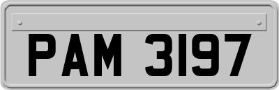 PAM3197