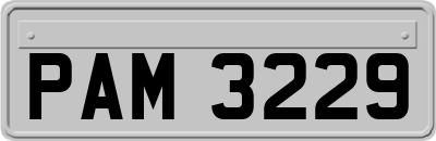 PAM3229
