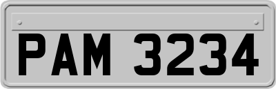 PAM3234