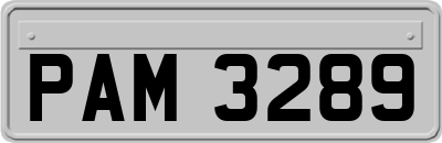 PAM3289
