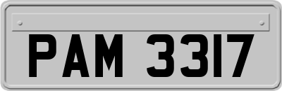 PAM3317