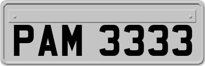 PAM3333
