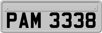 PAM3338