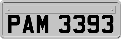 PAM3393