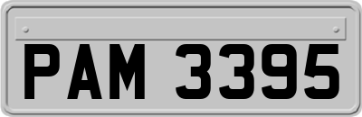 PAM3395
