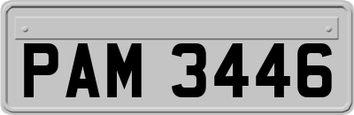PAM3446