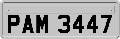 PAM3447