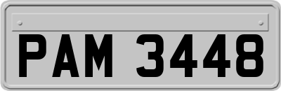 PAM3448