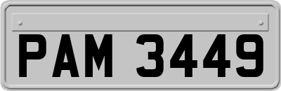 PAM3449