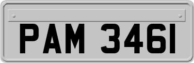 PAM3461