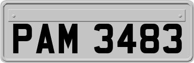 PAM3483
