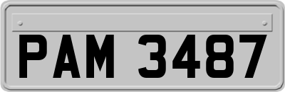 PAM3487