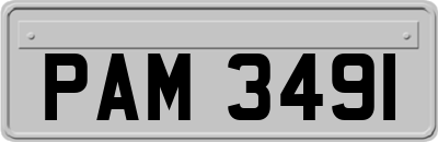 PAM3491