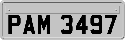 PAM3497