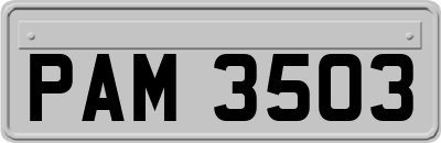 PAM3503