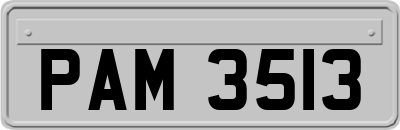 PAM3513