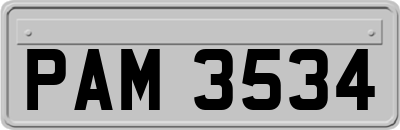 PAM3534