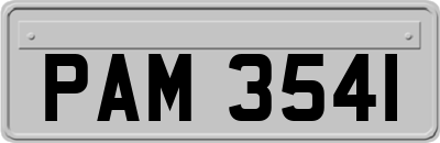 PAM3541