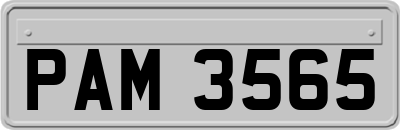 PAM3565