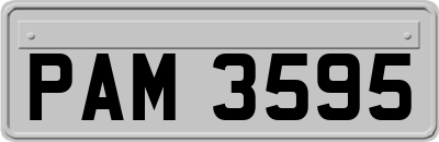 PAM3595
