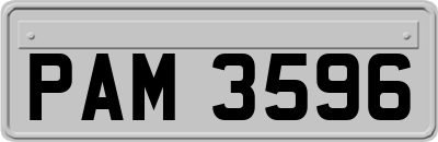 PAM3596